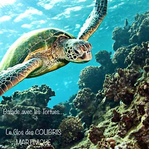  Hébergement de vacances Pamplemousse Avec Piscine Privative , Dans Parc Calme à 500 M